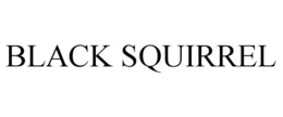 BLACK SQUIRREL trademark