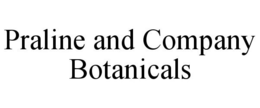 PRALINE AND COMPANY BOTANICALS trademark