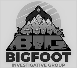 BIG BIGFOOT INVESTIGATIVE GROUP trademark