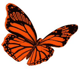 COMMON TIGER trademark