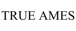 TRUE AMES trademark