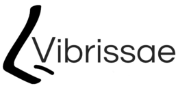 VIBRISSAE trademark