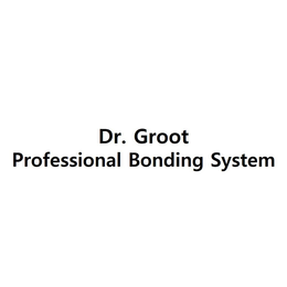 DR. GROOT PROFESSIONAL BONDING SYSTEM trademark