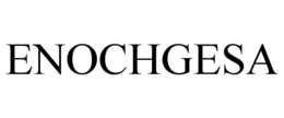 ENOCHGESA trademark
