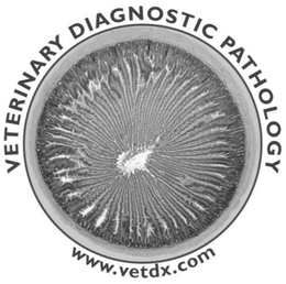 VETERINARY DIAGNOSTIC PATHOLOGY WWW.VETDX.COM trademark