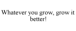 WHATEVER YOU GROW, GROW IT BETTER! trademark