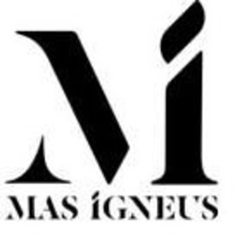 MI MAS IGNEUS trademark