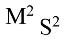 M²S² trademark