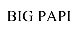 BIG PAPI trademark
