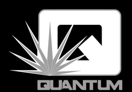Q QUANTUM trademark