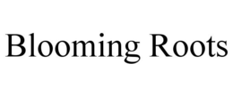 BLOOMING ROOTS trademark