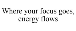 WHERE YOUR FOCUS GOES, ENERGY FLOWS trademark