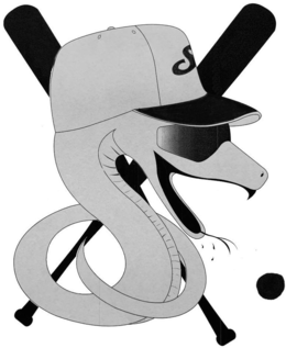 S trademark