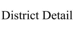 DISTRICT DETAIL trademark
