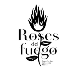ROSES DEL FUEGO ECUADORIAN VOLCANIC ROSES trademark