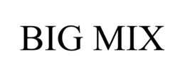 BIG MIX trademark