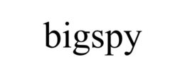 BIGSPY trademark