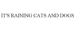 IT'S RAINING CATS AND DOGS trademark
