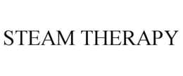 STEAM THERAPY trademark