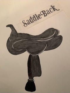 SADDLE BACK trademark