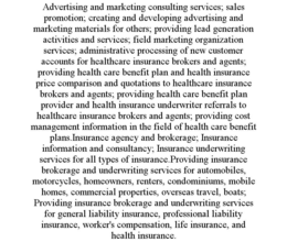 ADVERTISING AND MARKETING CONSULTING SERVICES; SALES PROMOTION; CREATING AND DEVELOPING ADVERTISING AND MARKETING MATERIALS FOR OTHERS; PROVIDING LEAD GENERATION ACTIVITIES AND SERVICES; FIELD MARKETING ORGANIZATION SERVICES; ADMINISTRATIVE PROCESSING OF NEW CUSTOMER ACCOUNTS FOR HEALTHCARE INSURANCE BROKERS AND AGENTS; PROVIDING HEALTH CARE BENEFIT PLAN AND HEALTH INSURANCE PRICE COMPARISON AND QUOTATIONS TO HEALTHCARE INSURANCE BROKERS AND AGENTS; PROVIDING HEALTH CARE BENEFIT PLAN PROVIDER AND HEALTH INSURANCE UNDERWRITER REFERRALS TO HEALTHCARE INSURANCE BROKERS AND AGENTS; PROVIDING COST MANAGEMENT INFORMATION IN THE FIELD OF HEALTH CARE BENEFIT PLANS.INSURANCE AGENCY AND BROKERAGE; INSURANCE INFORMATION AND CONSULTANCY; INSURANCE UNDERWRITING SERVICES FOR ALL TYPES OF INSURANCE.PROVIDING INSURANCE BROKERAGE AND UNDERWRITING SERVICES FOR AUTOMOBILES, MOTORCYCLES, HOMEOWNERS, RENTERS, CONDOMINIUMS, MOBILE HOMES, COMMERCIAL PROPERTIES, OVERSEAS TRAVEL, BOATS; PROVIDING INSURANCE BROKERAGE AND UNDERWRITING SERVICES FOR GENERAL LIABILITY INSURANCE, PROFESSIONAL LIABILITY INSURANCE, WORKER'S COMPENSATION, LIFE INSURANCE, AND HEALTH INSURANCE. trademark
