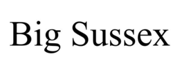 BIG SUSSEX trademark