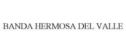 BANDA HERMOSA DEL VALLE trademark