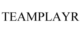 TEAMPLAYR trademark