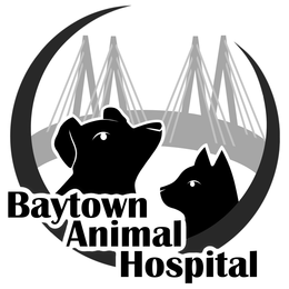 BAYTOWN ANIMAL HOSPITAL trademark