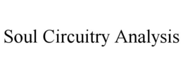 SOUL CIRCUITRY ANALYSIS trademark