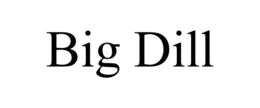 BIG DILL trademark