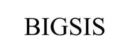 BIGSIS trademark