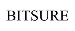 BITSURE trademark