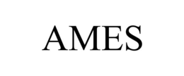 AMES trademark