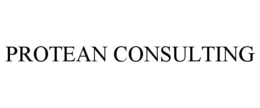 PROTEAN CONSULTING trademark
