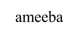 AMEEBA trademark