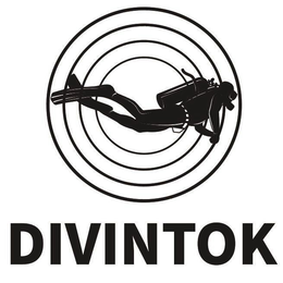 DIVINTOK trademark