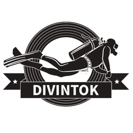 DIVINTOK trademark
