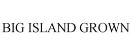 BIG ISLAND GROWN trademark