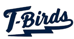 T-BIRDS trademark