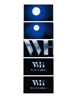 WH WONDERHILL trademark