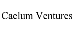 CAELUM VENTURES trademark
