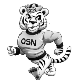 QSN QSN trademark