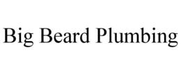 BIG BEARD PLUMBING trademark
