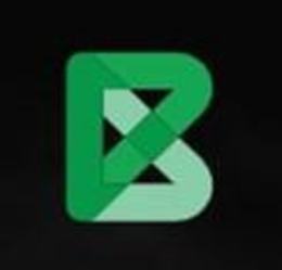 B trademark
