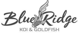 BLUE RIDGE KOI & GOLDFISH trademark