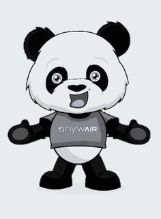 ANYWAIR trademark