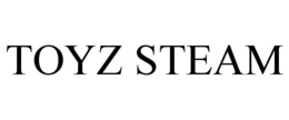 TOYZ STEAM trademark