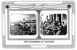 THE GATHERING OF SAFFRON trademark