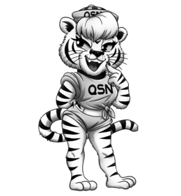 QSN QSN trademark